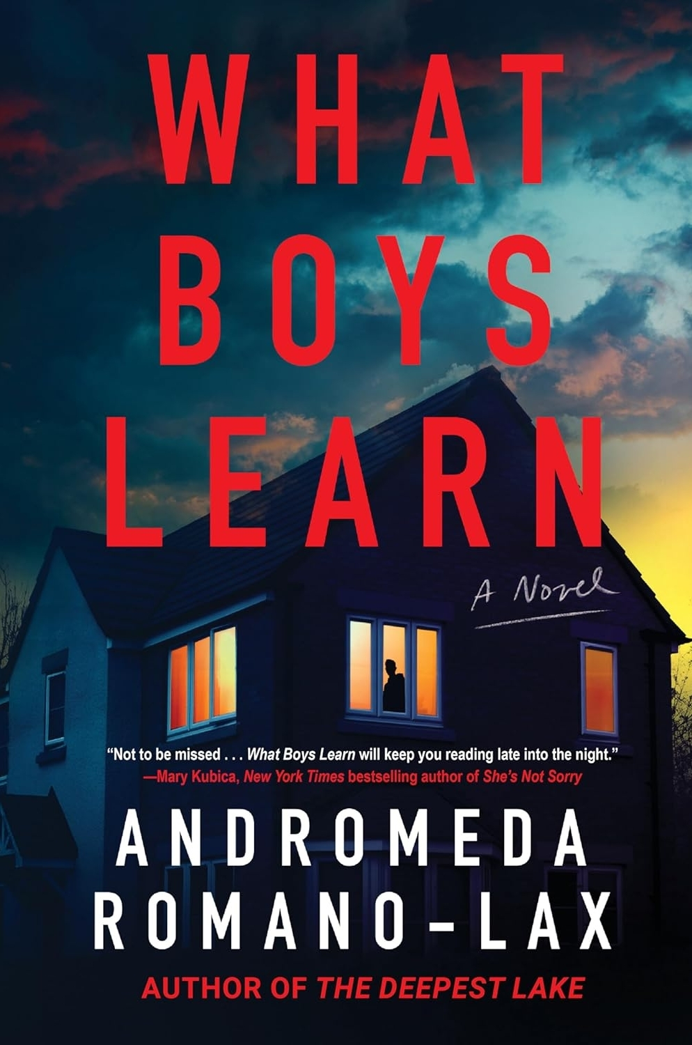 What Boys Learn book cover